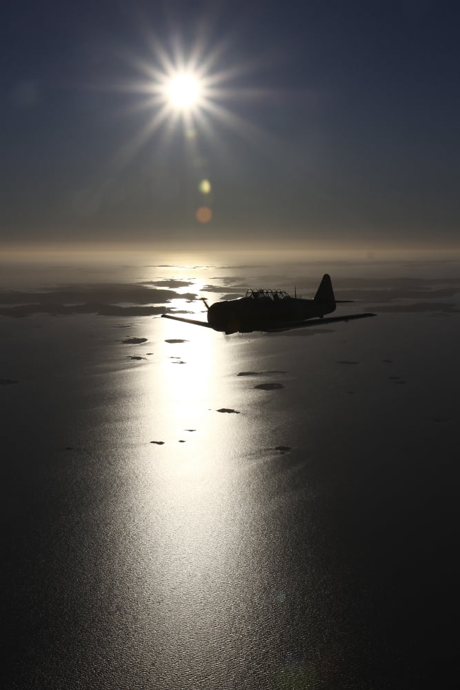 North American T-6 Texan trainer warbird in Swedish Air Force colors Canvas Art - Daniel KarlssonStocktrek Images (24 x 35)