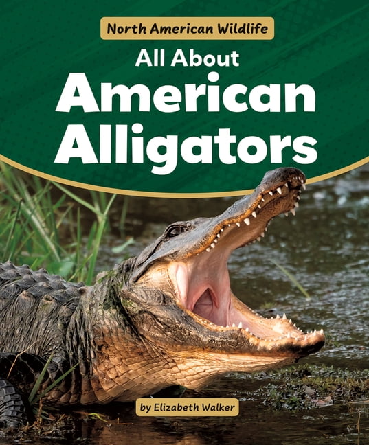 North American Wildlife All about American Alligators, (Paperback)