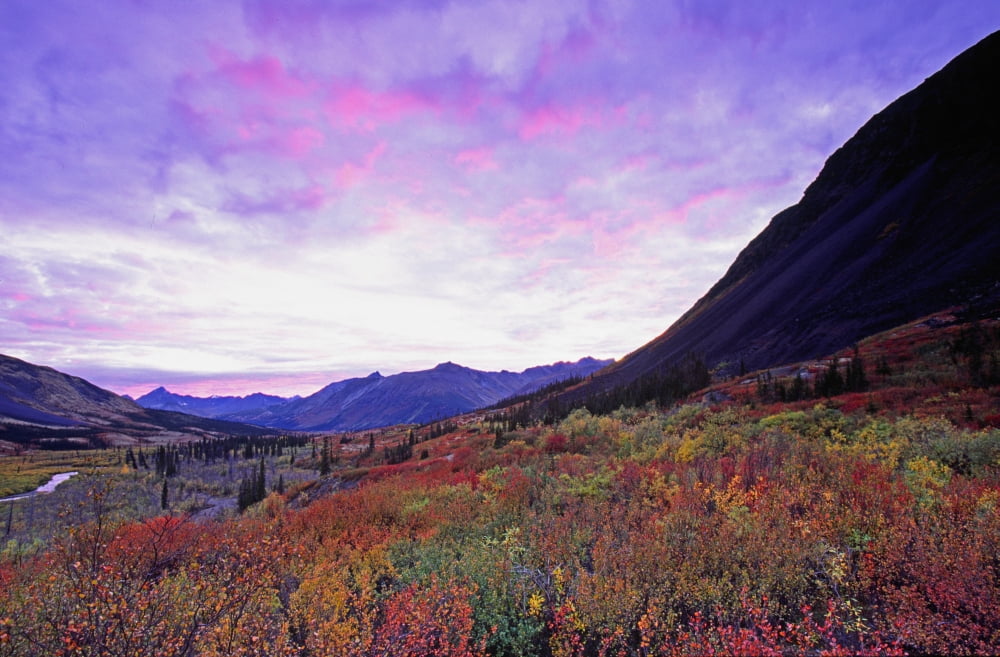 North Canol Road Near Macmillian Pass Yukon Canvas Art - Robert Postma Design Pics (18 x 12)