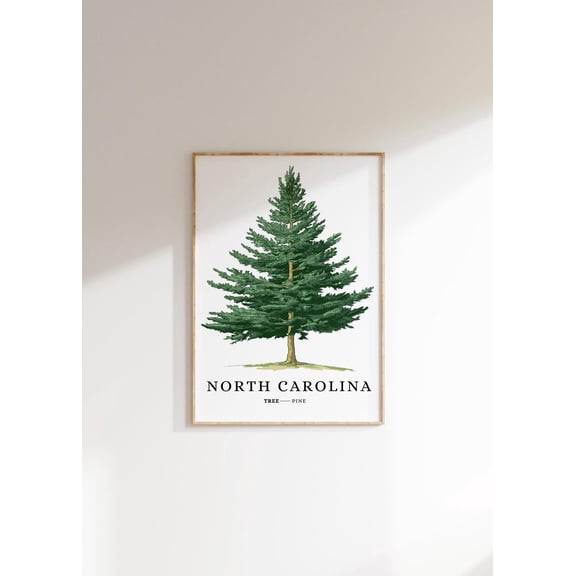 North Carolina State Tree : Minimalist Pine Unframed Paper Print