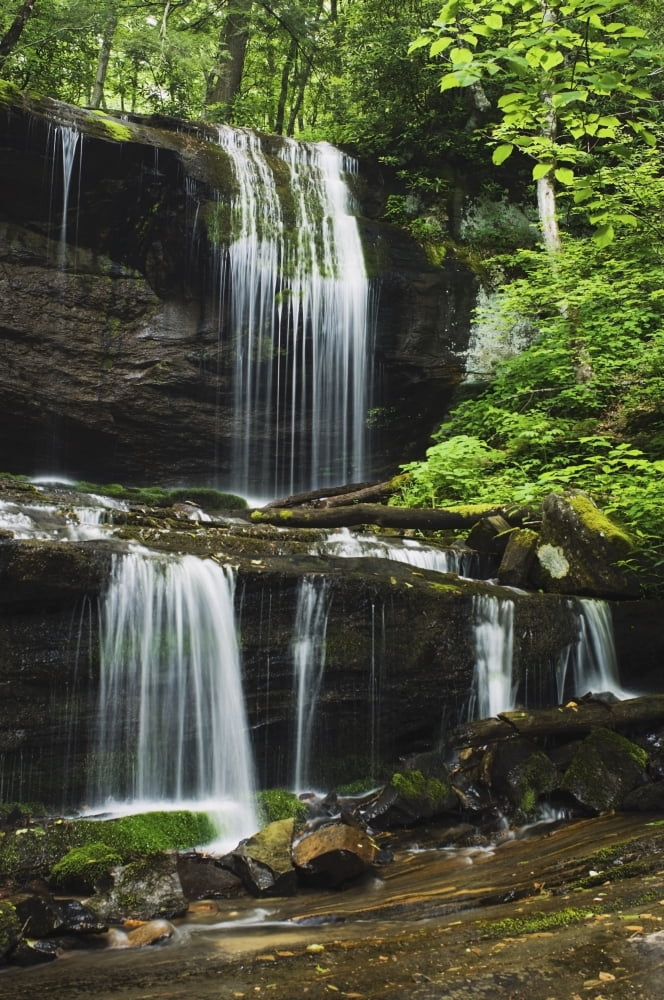 North Carolina United States Of America Lush Summer Foliage At Grassy Creek Falls Canvas Art - Natural Selection Robert Cable Design Pics (12 x 19)