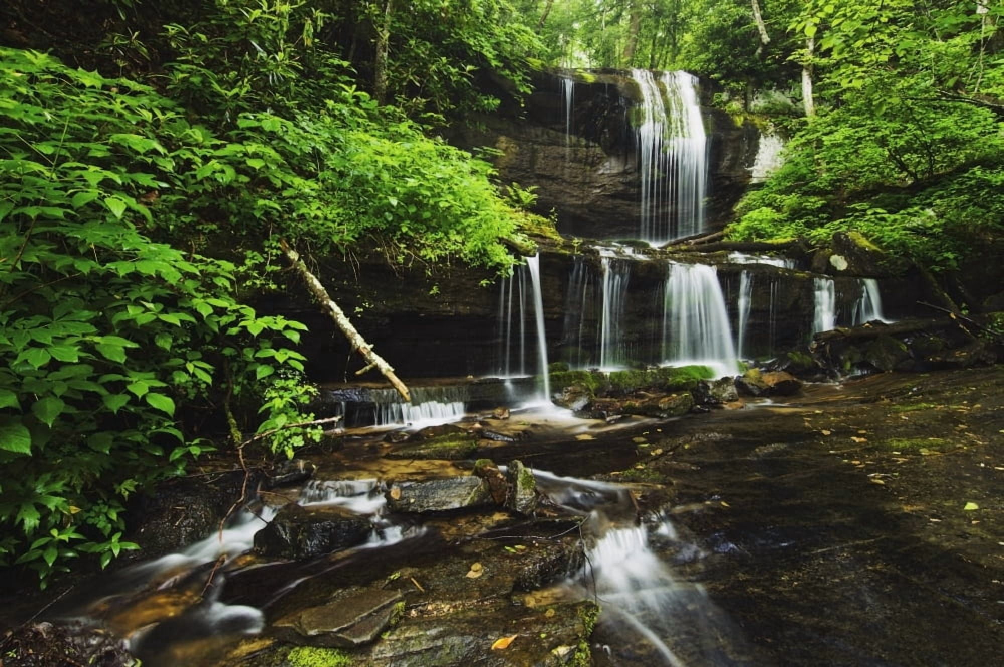 North Carolina United States Of America Lush Summer Foliage At Grassy Creek Falls Canvas Art - Natural Selection Robert Cable Design Pics (19 x 12)