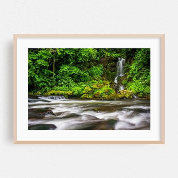 North Carolina Waterfall Forest Botanical Wall Art Poster Unframed Paper Print