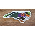thumbnail image 1 of North Carolina Wood Duck Skin Sticker Decal, 1 of 1