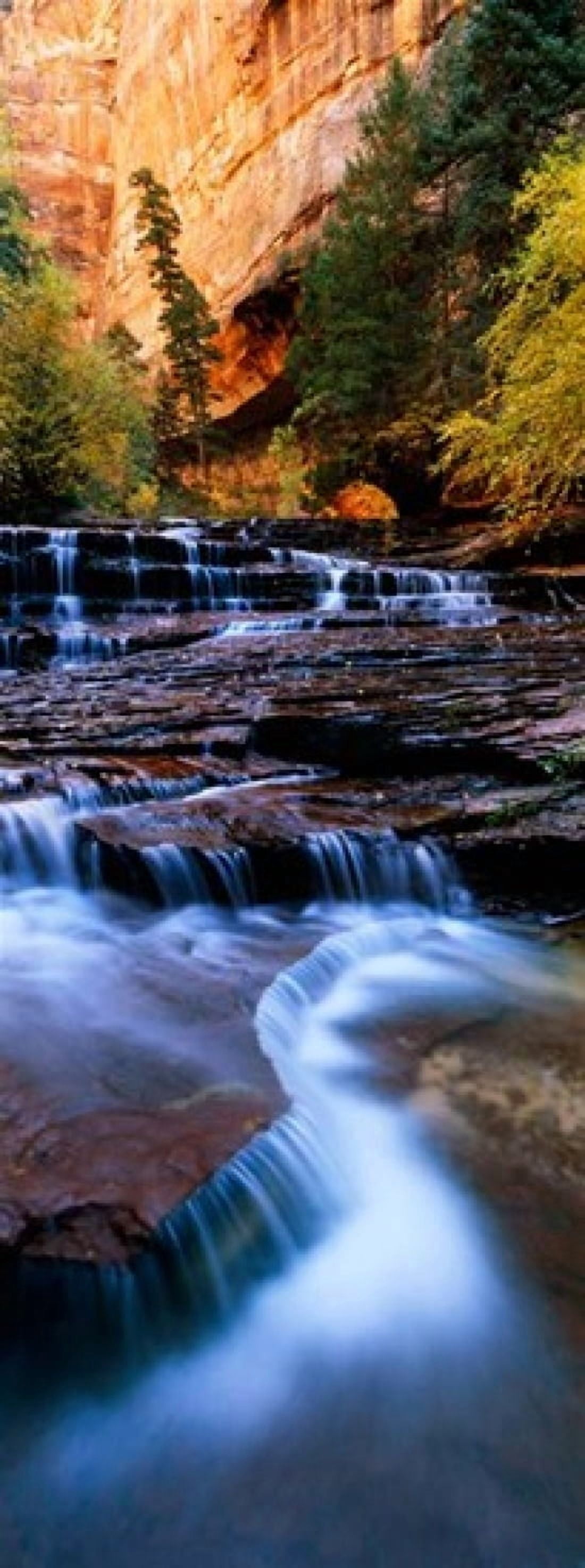 North Creek Zion National Park Utah Canvas Art - Panoramic Images (12 x 33)