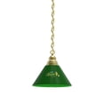 thumbnail image 1 of North Dakota State University Pendant Light with Brass Fixture, 1 of 5
