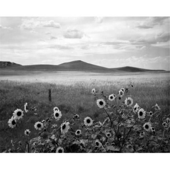 North Dakota USA Poster Print - 18 x 24 in.