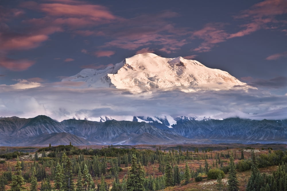 North Face Of Denali At Sunset As Seen From The Wonder Lake Campground In Denali National Park Alaska Canvas Art - John Delapp Design Pics (34 x 22)