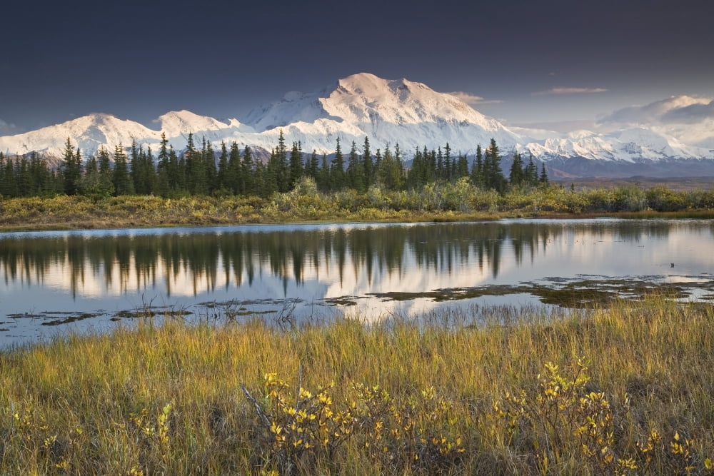 The North Face And Peak Of Mt Mckinley Is Reflected In A Small Tundra Pond In Denali National Park Alaska Canvas Art - John Delapp Design Pics (17 x 11)