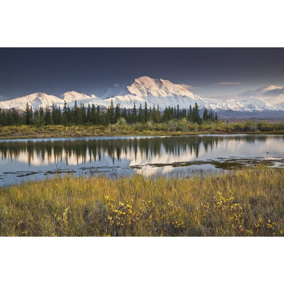 The North Face And Peak Of Mt Mckinley Is Reflected In A Small Tundra Pond In Denali National Park Alaska Canvas Art - John Delapp Design Pics (17 x 11)
