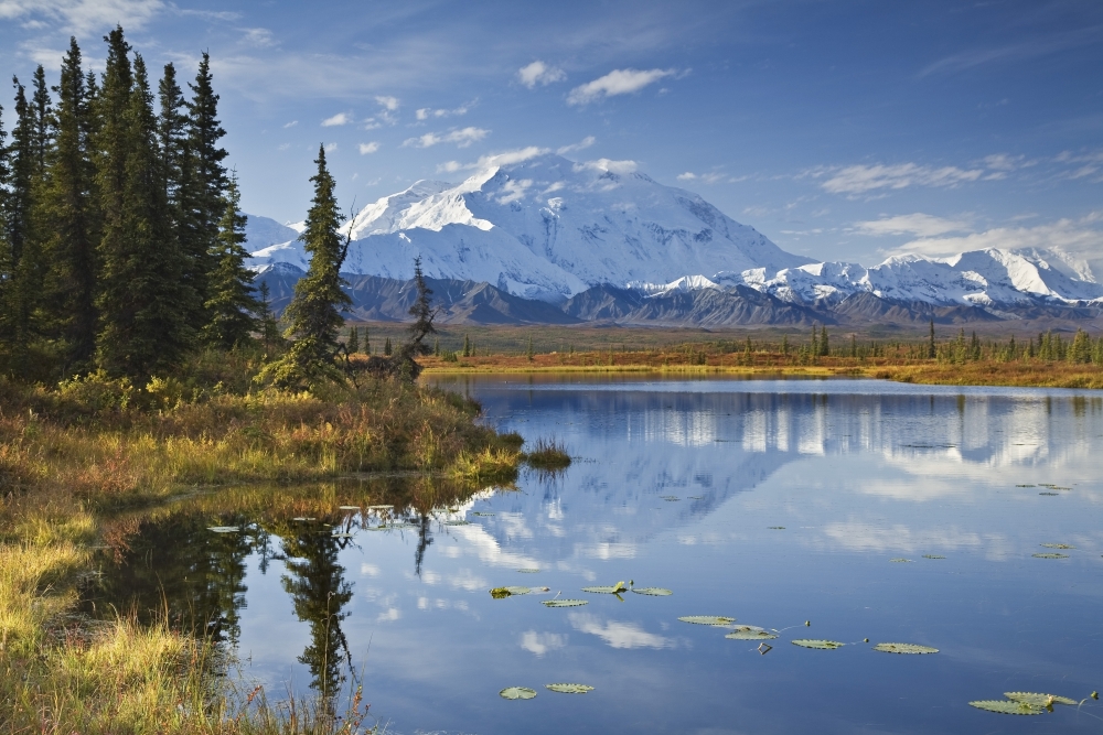 The North Face And Peak Of Mt Mckinley Is Reflected In A Small Tundra Pond In Denali National Park Alaska Canvas Art - John Delapp Design Pics (17 x 11)