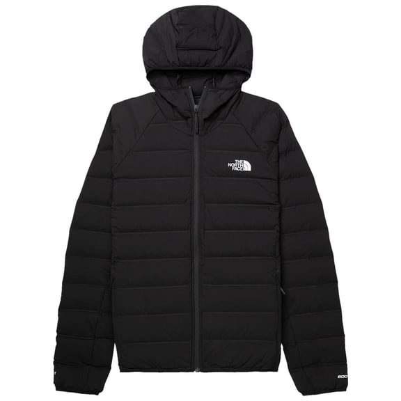 The North Face Men's RMST (Remastered 600) Down Hoodie Jacket