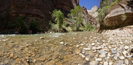 North Fork of the Virgin River Zion National Park Washington County Utah USA Canvas Art - Panoramic Images (24 x 12)