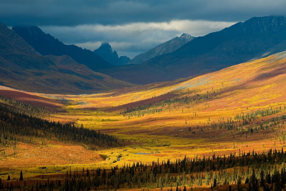 North Klondike River Valley Tombstone Territorial Park Yukon Canvas Art - John Sylvester Design Pics (17 x 11)