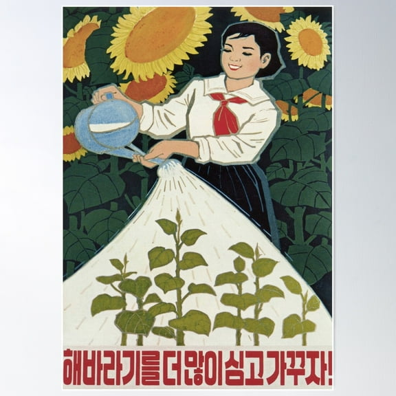 North Korean Propaganda: Let Us Grow More Sunflowers Poster Wall Art, Modern Wall Decor For Living Room Bedroom, 8x12 UNFRAMED
