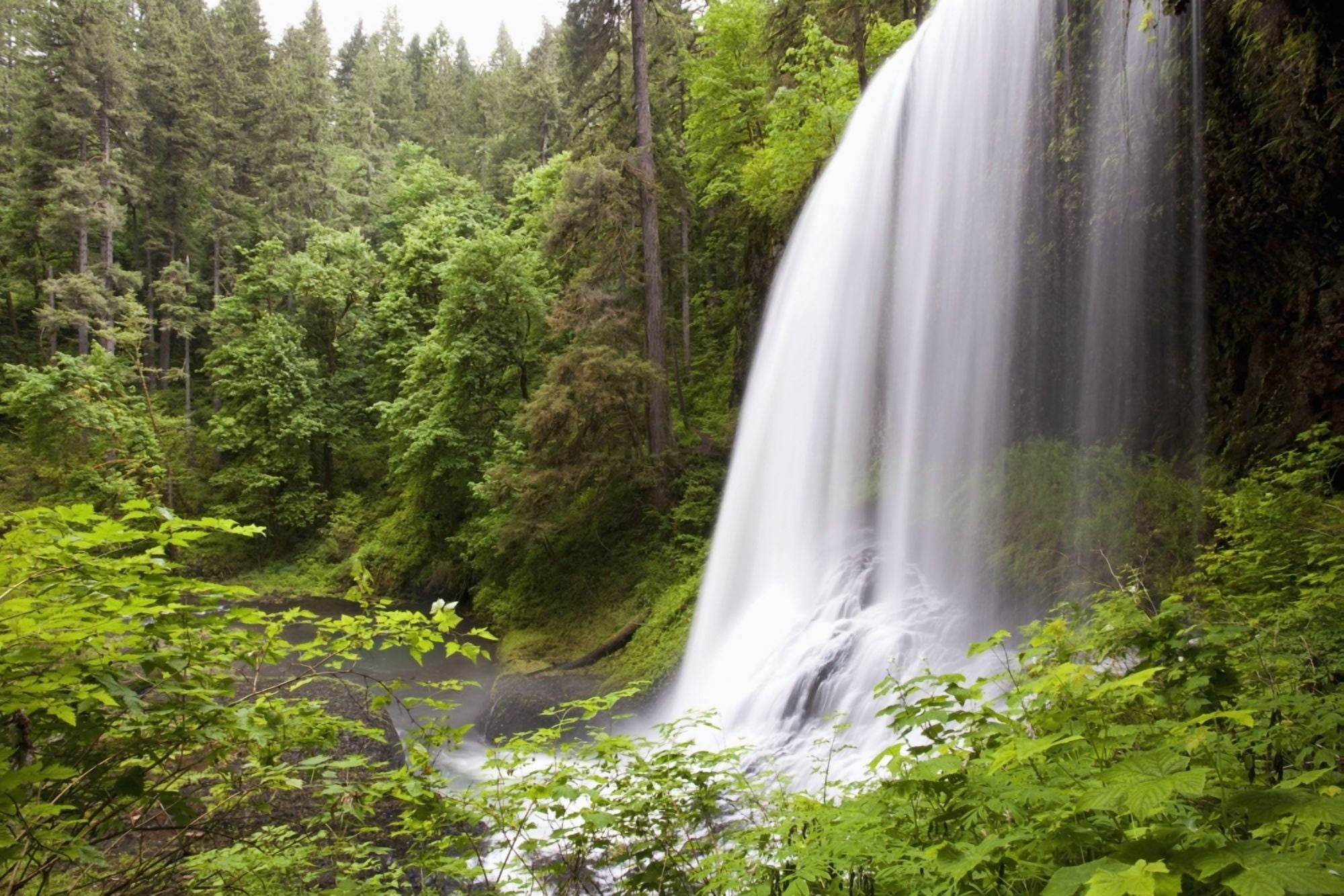 North Middle Falls In Silver Falls State Park Oregon Usa Canvas Art - Craig Tuttle Design Pics (19 x 12)