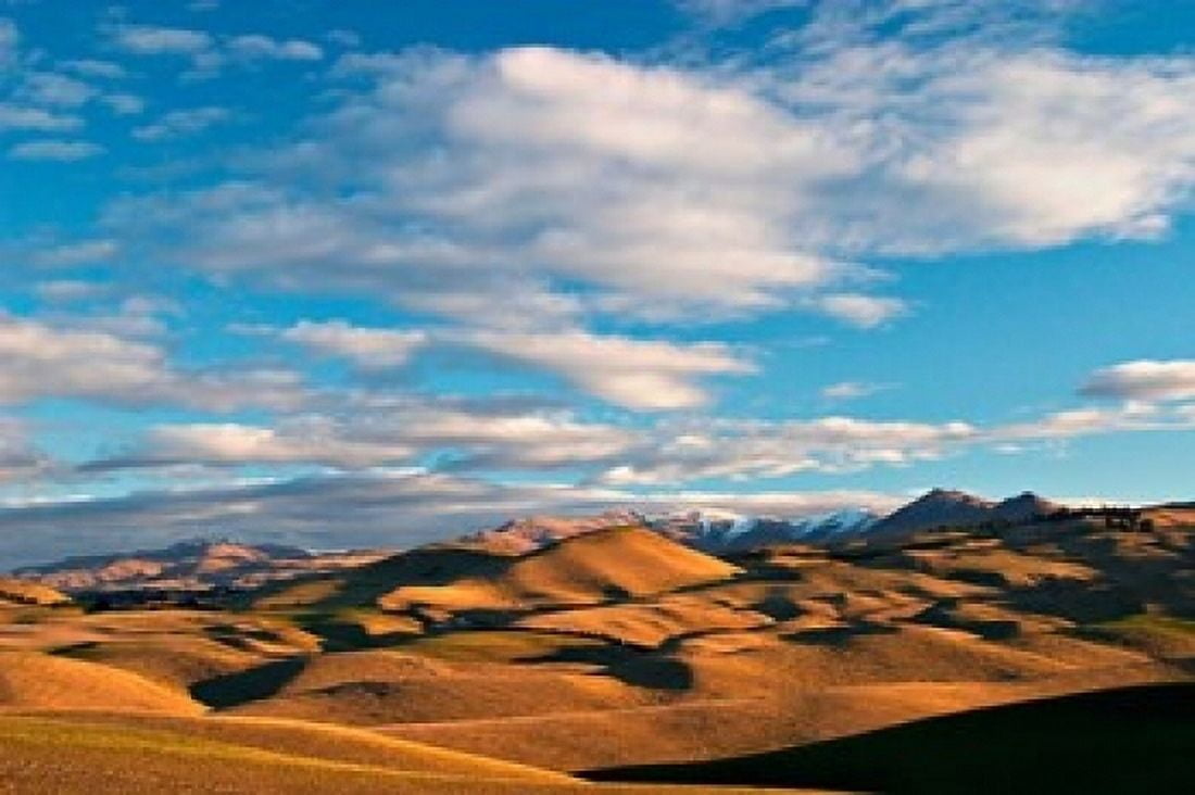 North Otago Landscape South Island New Zealand Canvas Art - David Wall DanitaDelimont (36 x 24)