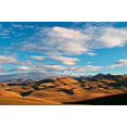 thumbnail image 1 of North Otago Landscape, South Island, New Zealand Poster Print by David Wall (26 x 17), 1 of 1