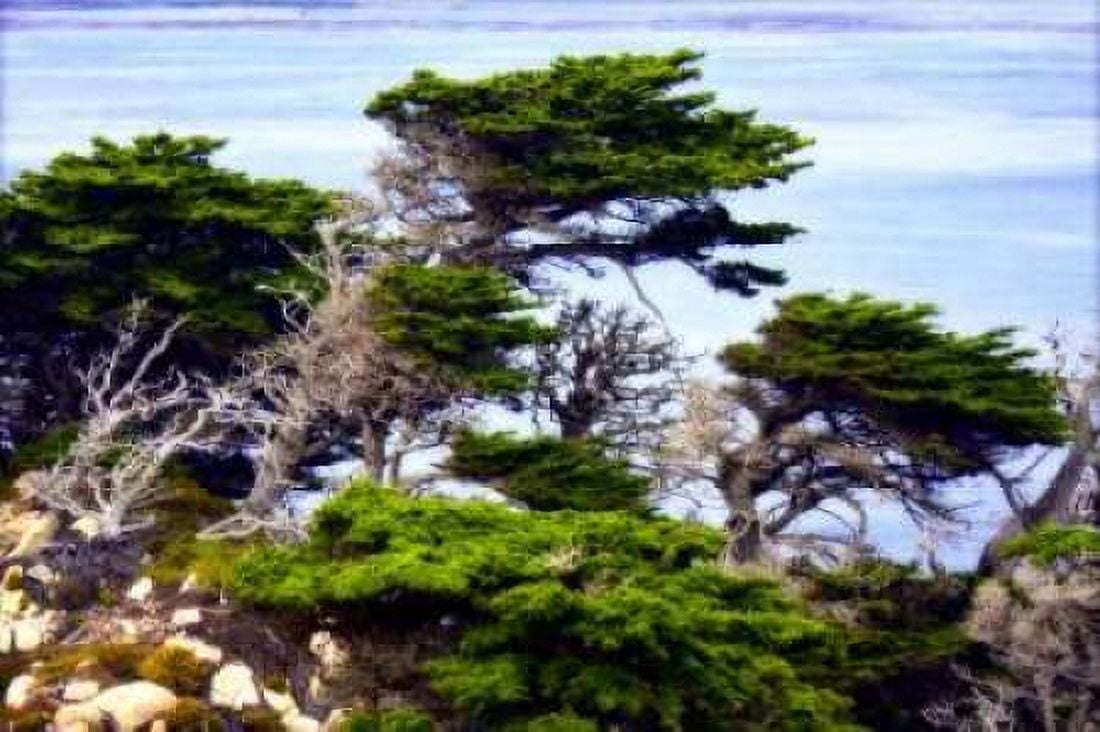 North Point I Canvas Art - Alan Hausenflock (24 x 36)