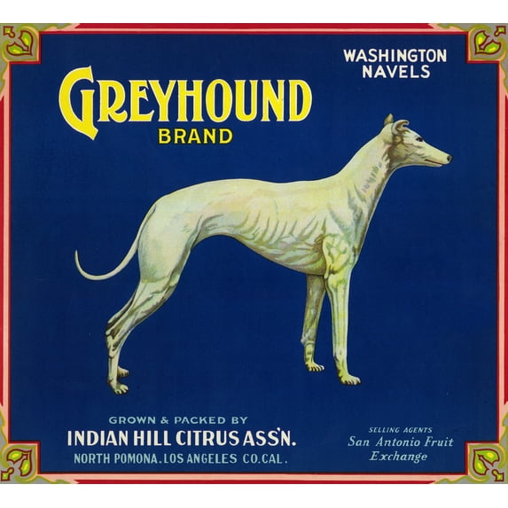 North Pomona, California, Greyhound Brand Citrus Label (12x18 Wall Art Poster, Room Decor)