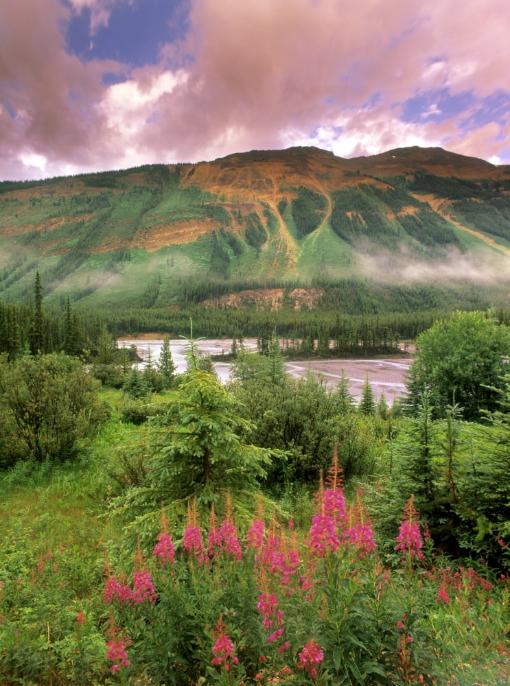 North Saskatchewan River Along The Icefields Parkway At The Avalanche Slope Lookout Banff National Park Alberta Canada Canvas Art - Darwin Wiggett Design Pics (24 x 32)