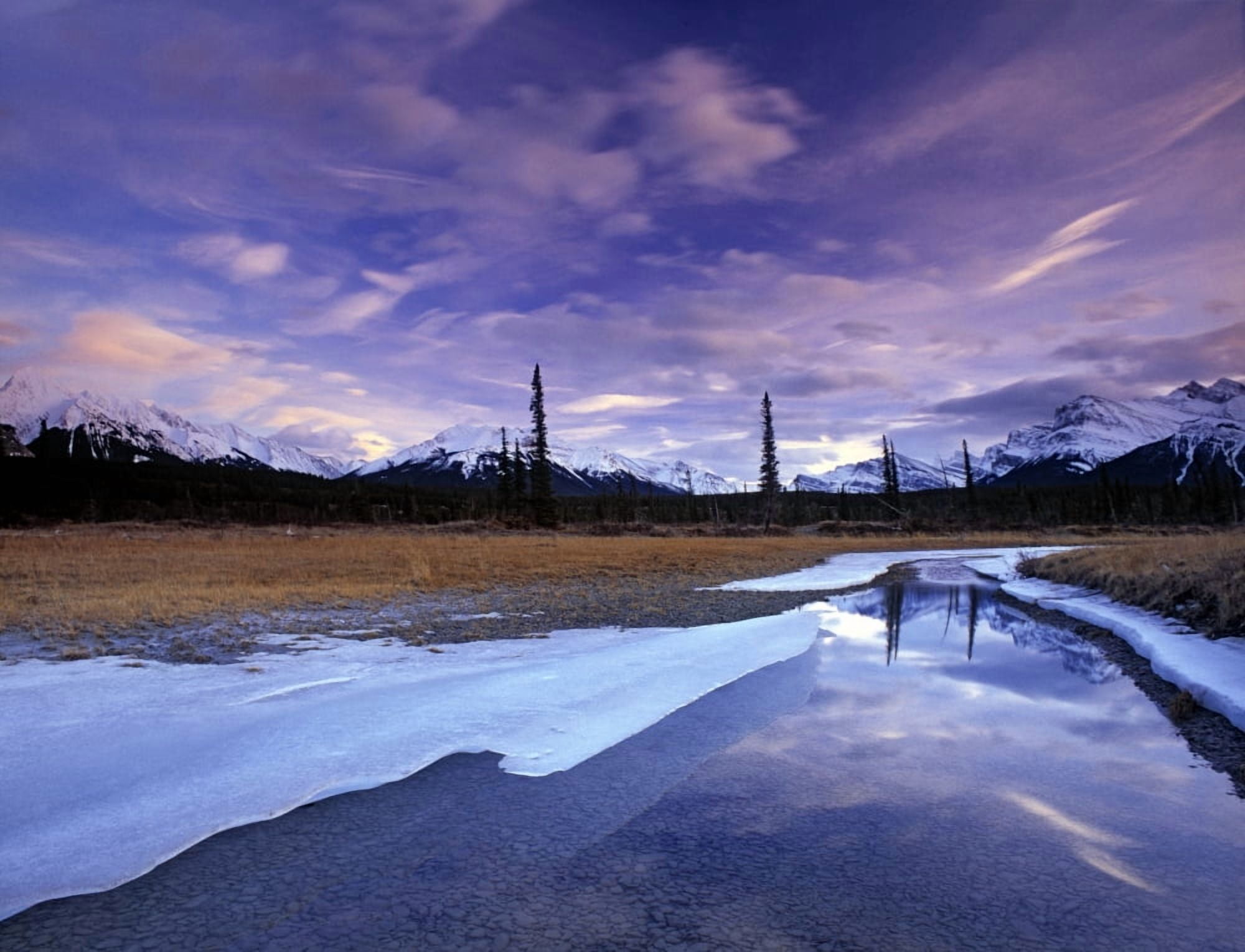 North Saskatchewan River At The Kootenay Plains Alberta Canada Canvas Art - Darwin Wiggett Design Pics (32 x 24)