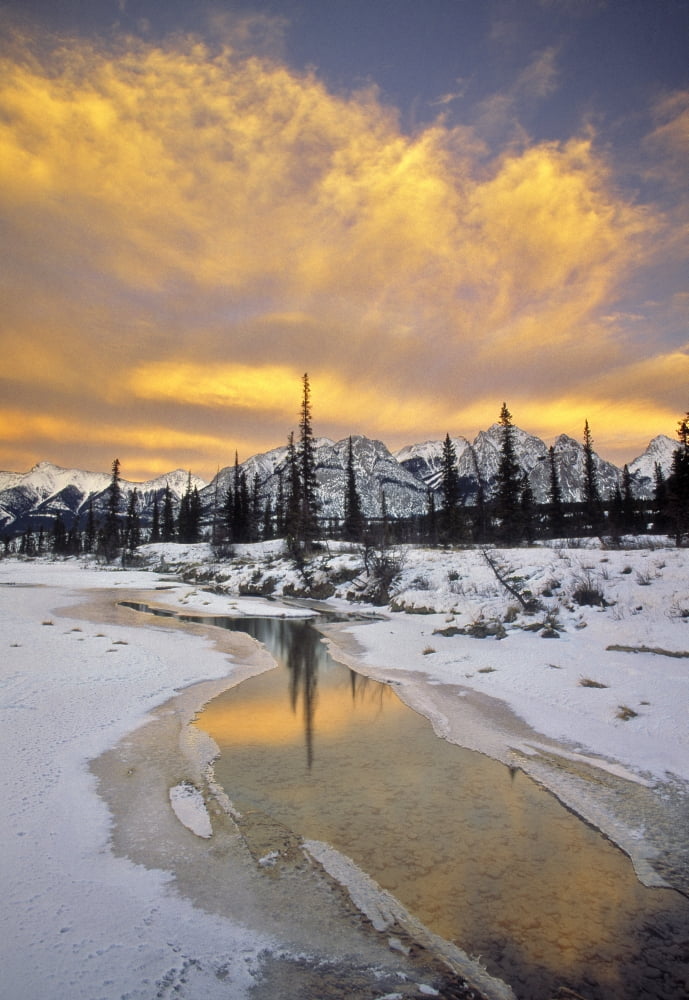 North Saskatchewan River Kootenay Plains Alberta Canada Canvas Art - Darwin Wiggett Design Pics (11 x 16)