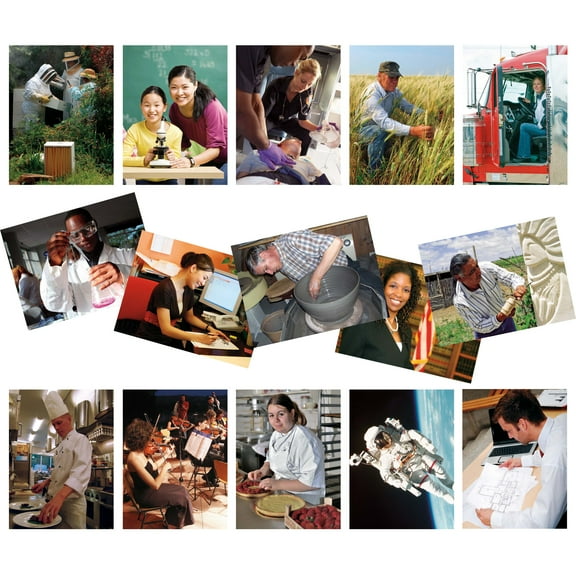 North Star Teacher Resource NST9083 Occupations Careers Language Cards