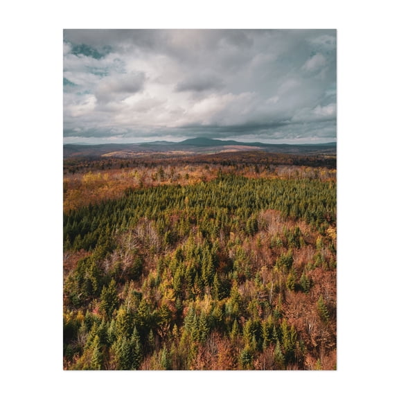 North Woods Autumn 02 - Abbot Maine Photography Forest Nature Landscape Autumn Scenic Mountain Rustic Unframed Wall Art Print 36 x 48 inches