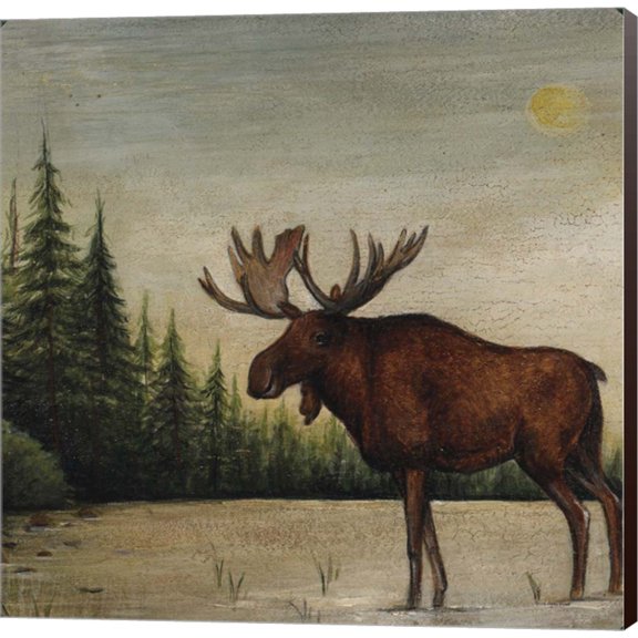 North Woods Moose II by David Carter Brown, Canvas Wall Art