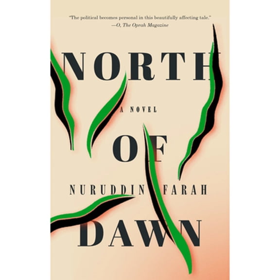 Pre-Owned North of Dawn (Paperback) 0735214255 9780735214255