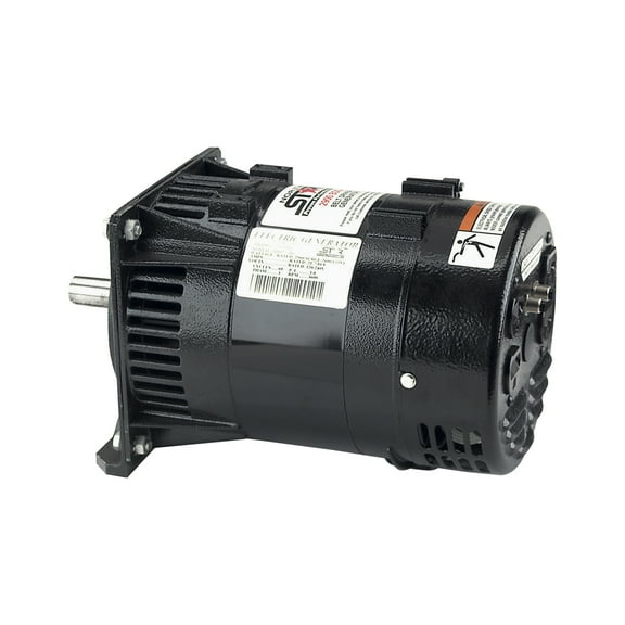 NorthStar Belt-Driven Generator Head, 2,900 Surge Watts, 2,600 Rated Watts, 5 HP Required
