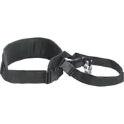 NorthStar Telescoping Pressure Washer Wand Back Belt