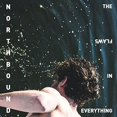thumbnail image 1 of Northbound - Flaws In Everything - Music & Performance - Vinyl, 1 of 1