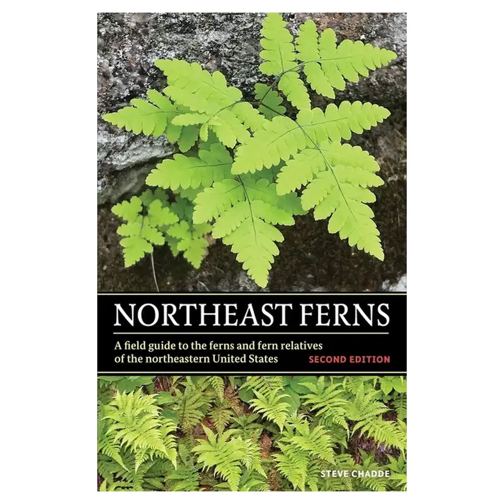 Northeast Ferns: A Field Guide to the Ferns and Fern Relatives of the Northeastern United States -- Steve W. Chadde
