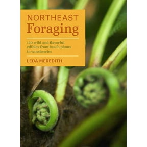 Northeast Foraging - Paperback