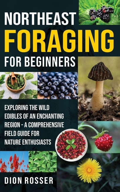 Northeast Foraging for Beginners: Exploring the Wild Edibles of an Enchanting Region - A Comprehensive Field Guide for N, (Hardcover)