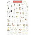 thumbnail image 1 of Mac's Guides (Charts): Mac's Field Guides: Northeast Garden Bugs (Other), 1 of 1