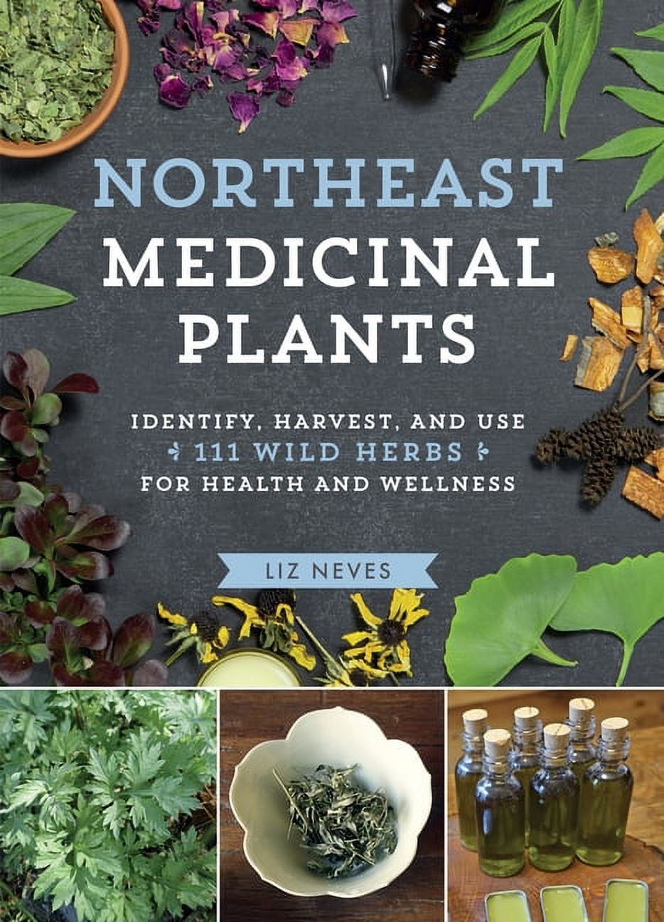 Northeast Medicinal Plants - Paperback
