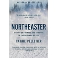 thumbnail image 1 of Pre-Owned Northeaster: A Story of Courage and Survival in the Blizzard of 1952 (Paperback) 163936580X 9781639365807, 1 of 1