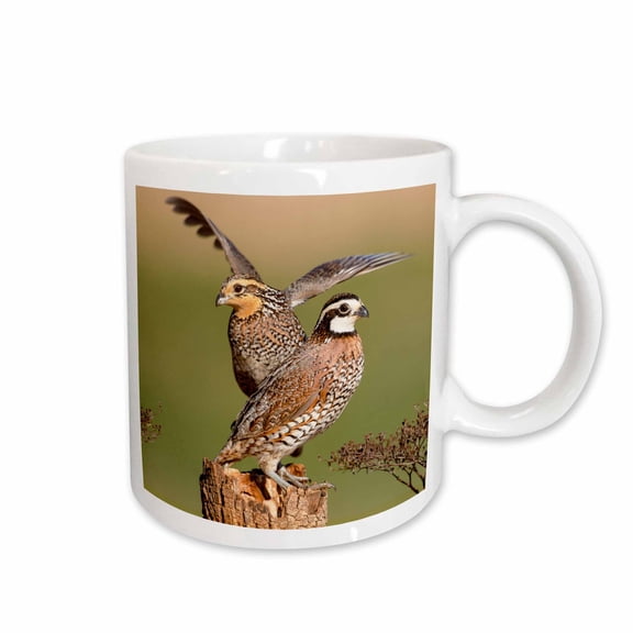 3drose, Northern Bobwhite, Colinus Virginianus, Pair Landing on Log, 11oz Mug