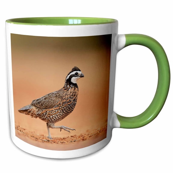 3drose, Northern Bobwhite Male Running, Rio Grande Valley, South Texas Usa, 11oz Two-tone Green Mug