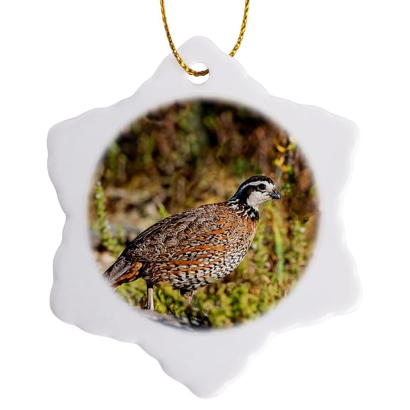 3drose, Northern Bobwhite Quail Foraging on Rocky Ground, 3 inch Snowflake Porcelain Ornament