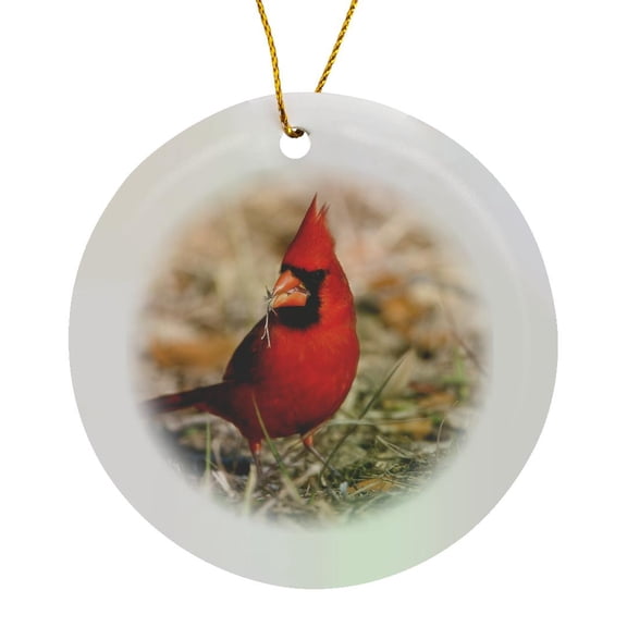 3drose, Northern Cardinal Bird, Coastal Texas - Us44 Mpr0140 - Maresa Pryor, Circle Porcelain Ornament