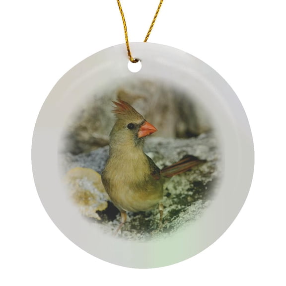 3drose, Northern Cardinal Bird, Hill Country, Texas - Na02 Rnu0203 - Rolf Nussbaumer, Circle Porcelain Ornament