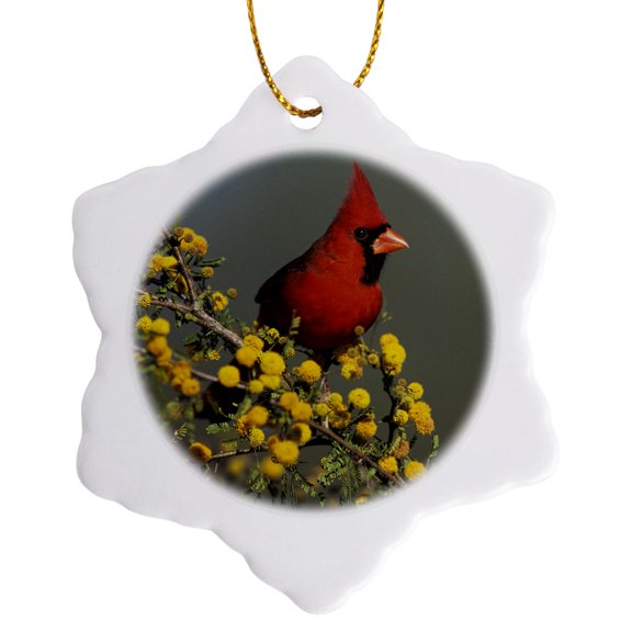 3drose, Northern Cardinal Bird, Lake Corpus Christi Texas - Na02 Rnu0703 - Rolf Nussbaumer, 3 inch Snowflake Porcelain Ornament