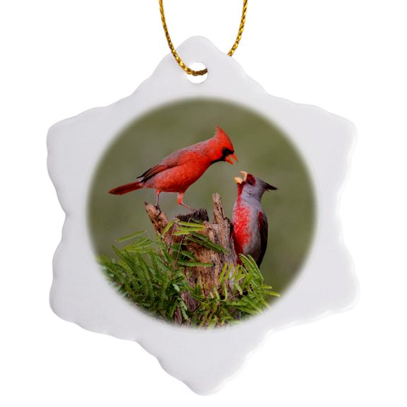 3drose, Northern Cardinal, Cardinalis Cardinalis, Defending Perch, 3 inch Snowflake Porcelain Ornament
