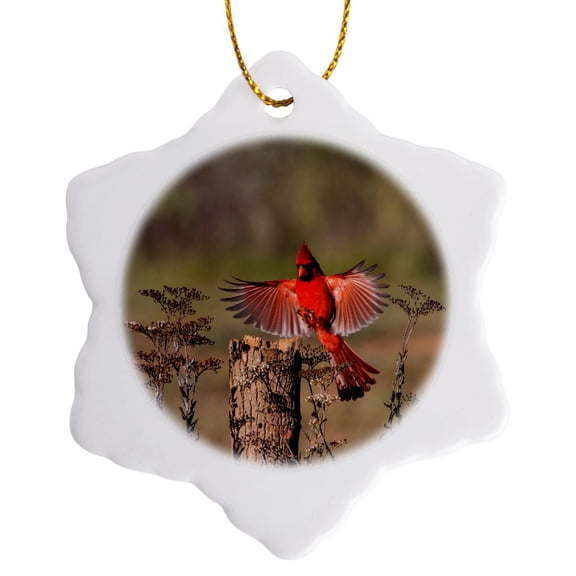 3drose, Northern Cardinal, Cardinalis Cardinalis, Male Landing, 3 inch Snowflake Porcelain Ornament