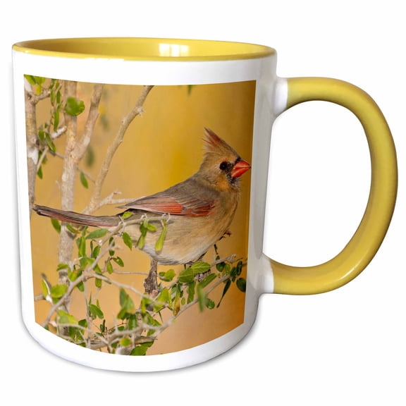 3drose, Northern Cardinal Female Bird Perched on Branch - Us44 Ldi0562 - Larry Ditto, 11oz Two-tone Yellow Mug