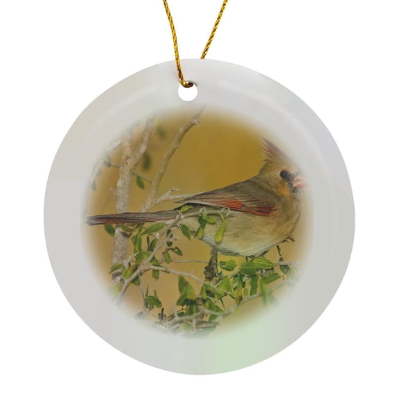 3drose, Northern Cardinal Female Bird Perched on Branch - Us44 Ldi0562 - Larry Ditto, Circle Porcelain Ornament